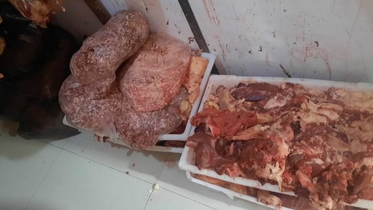 Bromatología descubre más de 100 kg de carne en mal estado en un comercio de Villa Mercedes