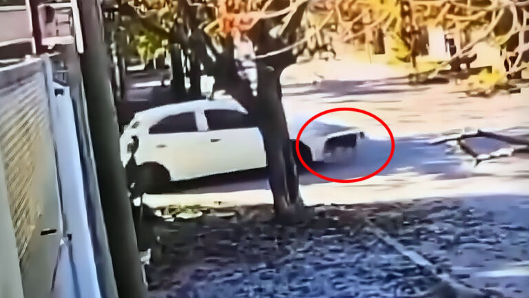 Impactante video: Un remisero atropella y abandona a un perro en Villa Mercedes.